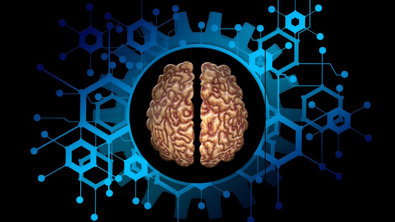 Brain Imaging Helps Understand Autism Spectrum