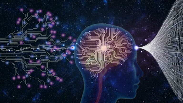 Brain Imaging Research