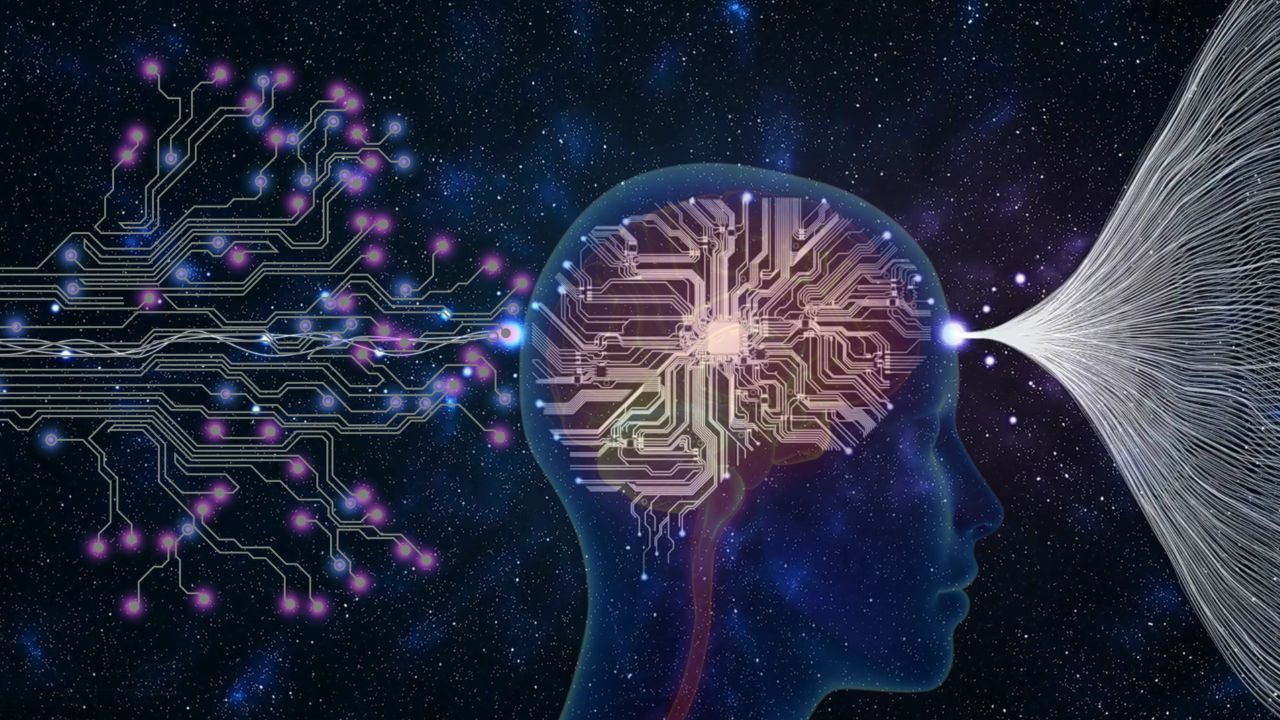 Brain Imaging Research