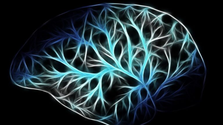 Role of Brain Imaging in Parkinson’s
