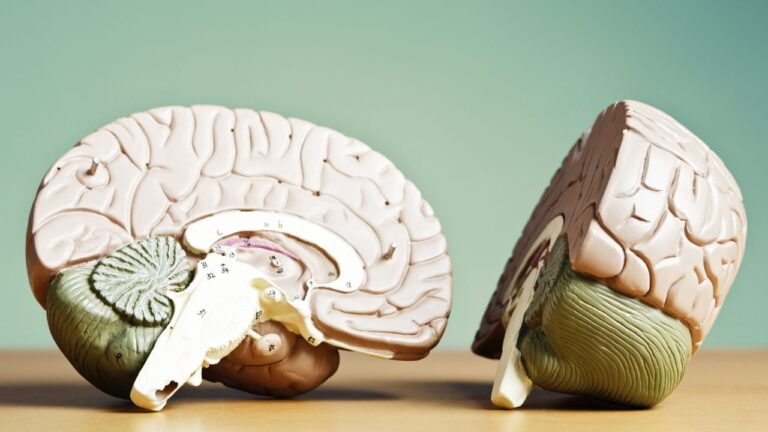 Science Behind Structural