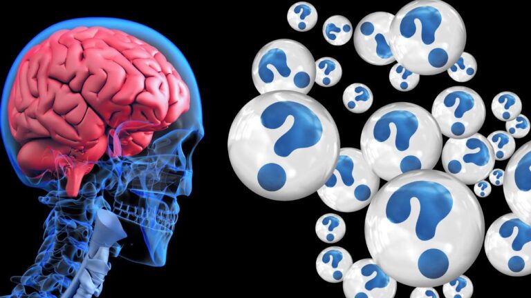 Used in Cognitive Neuroscience Research