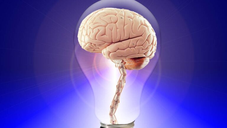 Ethical Considerations in Brain Imaging